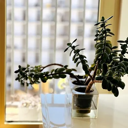 Appartement Charm Authentic Family