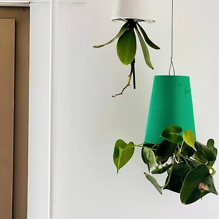 Appartement Charm Authentic Family *